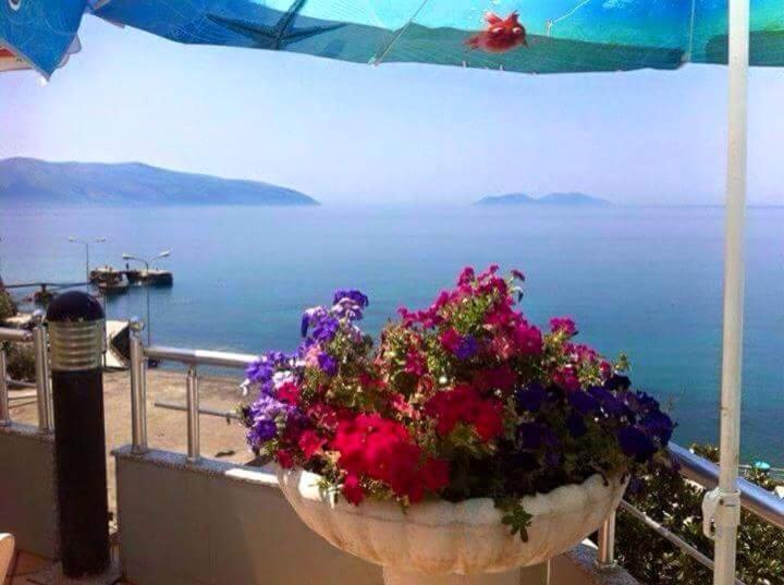 Vlora Apartments Kültér fotó